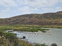 Arusha-Nationalpark, Großer Momella-See
