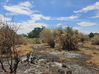 Landschaft im Lake Manyara
