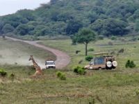 Safari im Arusha-Nationalpark