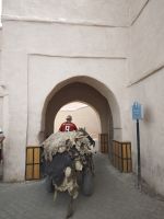 Gerberviertel von Marrakesch