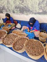 Arganöl-Kooperative Essaouria