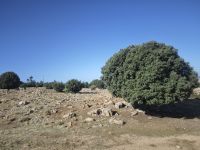 Fahrt Richtung Atlas Gebirge