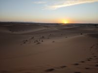 Jeeptour und Dromedareiten in der Wüste