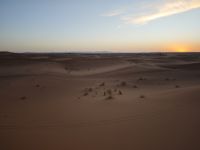 Jeeptour und Dromedareiten in der Wüste