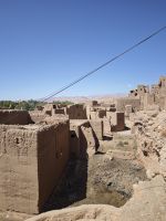 Spaziergang in einer Palmerie in Tinghir