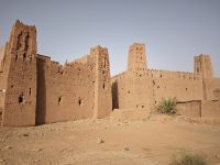 Spaziergang in einer Oase