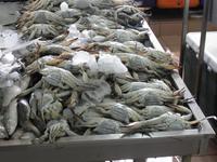 Fischmarkt