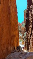 Standley Chasm, West MacDonnell National Park