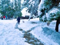 Beschwerlicher Weg zum Mittagessen...