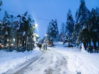 Zlatibor, auch hier tiefster Winter!