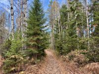 8. Tag – Aufenthalt am Lac Taureau – Herbstlicher Waldspaziergang