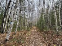 8. Tag – Aufenthalt am Lac Taureau – Herbstlicher Waldspaziergang