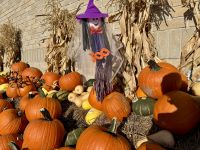 10. Tag – Herbst-/Halloweendeko am Supermarkt in La Malbaie