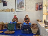 Herstellung Arganöl