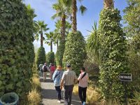 Anima Garten von Andre Heller