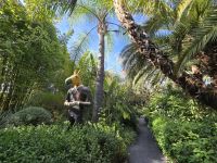 Anima Garten von Andre Heller