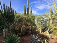 Anima Garten von Andre Heller