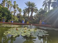 Jardin Majorell in Marrakesch