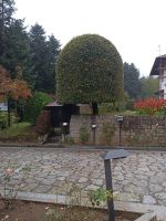 Botanischen Garten Villa Vittoria - Kalabrien 