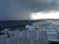 Wir müssen zurück nach St.Tropez - fast das Ende der Reise