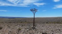Fish River Canyon