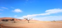 Ausflug in die Namib- Sossusvlei