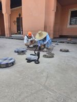Schlangenbeschwörer auf dem Gauklerplatz