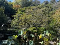 Garten Hasedera Tempel