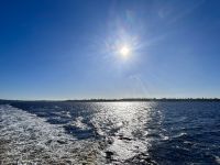 Stadtrundfahrt in Perth: Bootsfahrt Swan River