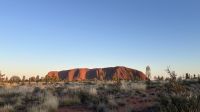 Sonnenaufgang am Uluru