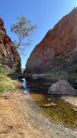 Alice Springs: Simpsons Gap