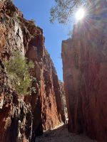 Alice Springs: Standley Chasm