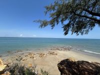 Stadtrundfahrt in Darwin: Aussicht auf die Arafura See