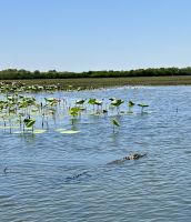 Ausflug: Kakadu Nationalpark: Bootsfahrt auf dem Yellow River