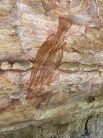 Ausflug: Arnhemland Felsmalereien 