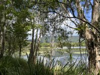 Cairns: Cattana Wetlands