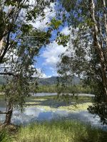 Cairns: Cattana Wetlands