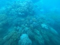 Cairns: Great Barrier Reef