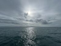 Cairns: Great Barrier Reef