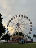Cairns: Esplanade