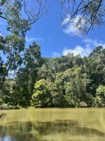 Kuranda: Ausflug mit dem Armie Duck