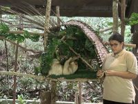 Faultier Rehabilitationszentrum