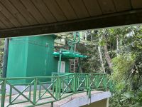 Seilbahn im Gamboa Regenwald