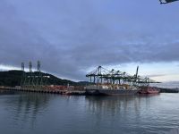 Panama Hafen Containerschiffe