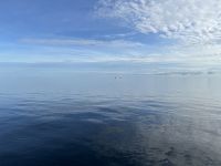 Morgen mit Meerblick