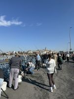 Angler auf Galata-Brücke