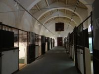 Pisa, Museo delle Navi Antiche. Die Stadtgeschichte ist in den früheren Stallungen der Medici untergebracht.