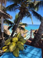 La Digue, in unserem Hotel