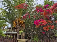 Freizeit auf La Digue