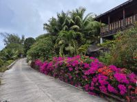 Freizeit auf La Digue
